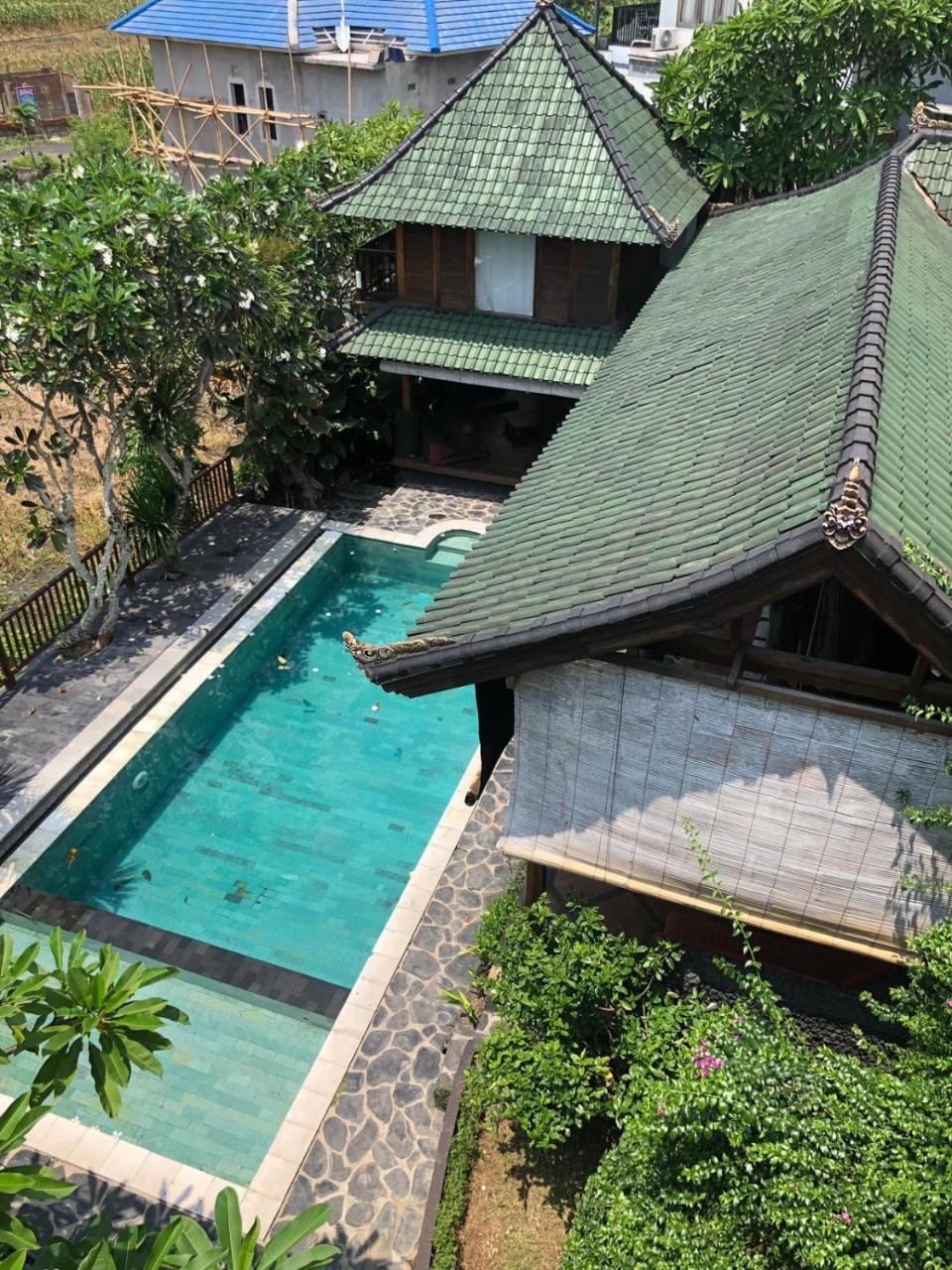 Tribe Theory Startup Village For Entrepreneurs Kuta  Bagian luar foto